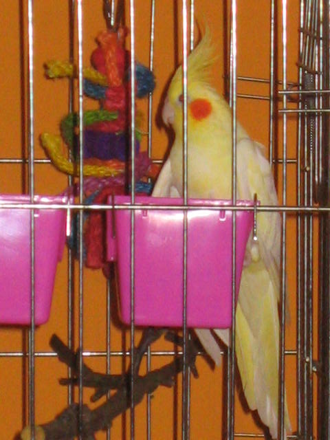 fotky 024.jpg