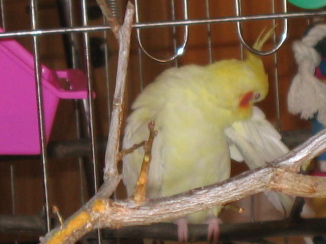fotky 850.jpg