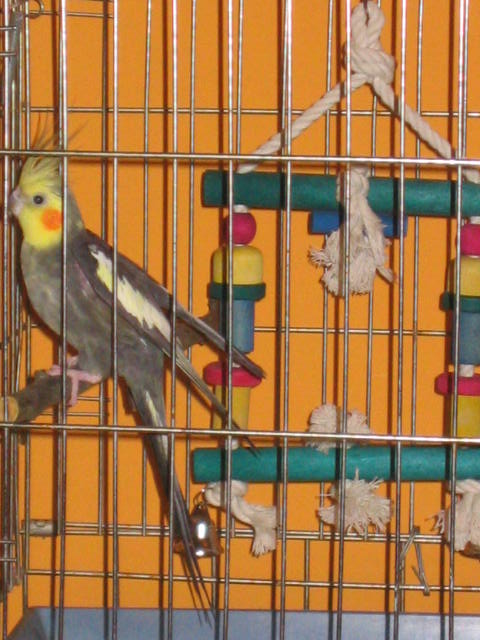 fotky 023.jpg