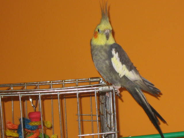 fotky 845.jpg