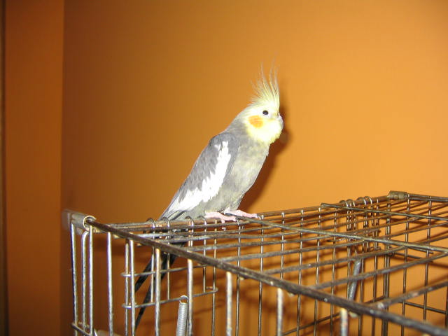 fotky 847.jpg