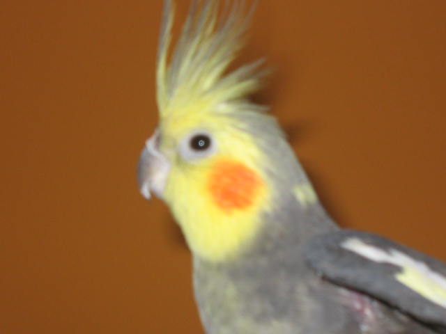 fotky 858.jpg