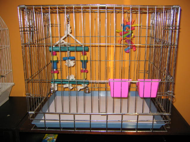 korelky 002.jpg