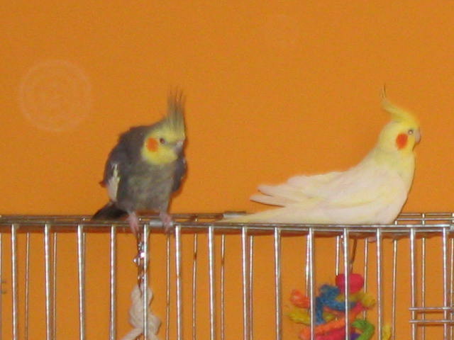 fotky 853.jpg