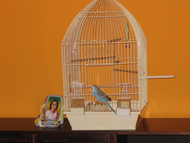 fotky lorri 013.jpg