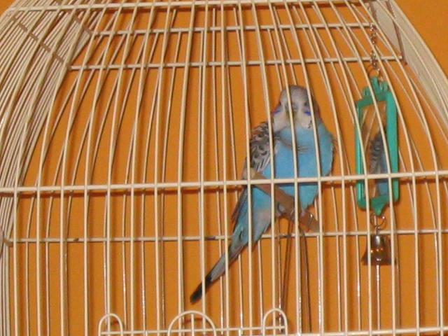 fotky lorri 014.jpg
