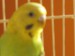 fotky lorri 1133.jpg